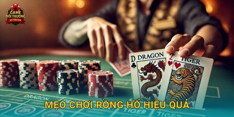 Mẹo chơi Rồng Hổ hiệu quả