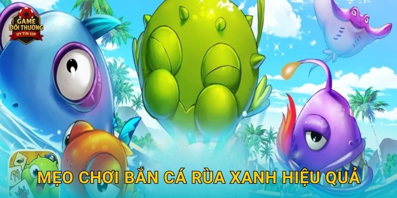 Mẹo chơi Bắn Cá Rùa Xanh hiệu quả