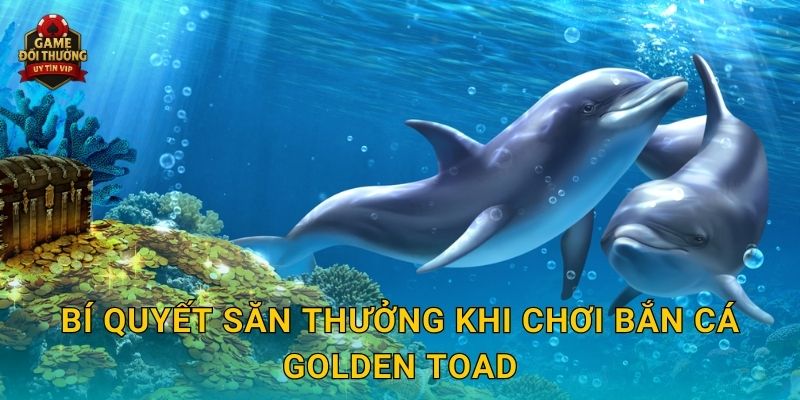 Bí quyết săn thưởng khi chơi Bắn Cá Golden Toad