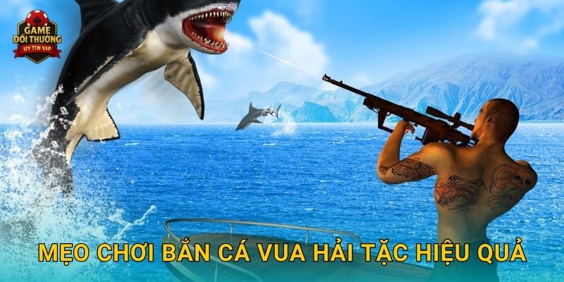 Mẹo chơi Bắn Cá Vua Hải Tặc hiệu quả