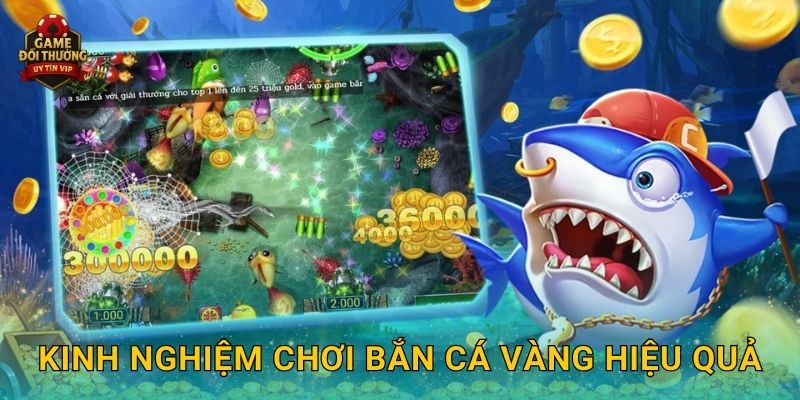 Kinh nghiệm chơi Bắn Cá Vàng hiệu quả