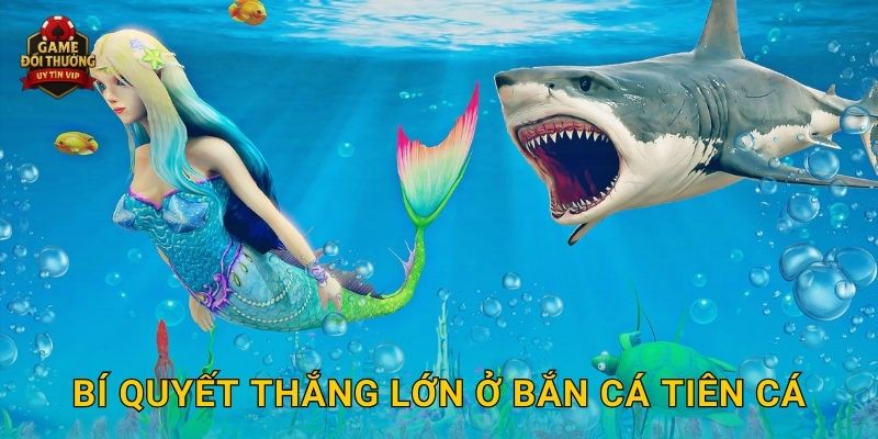 Bí quyết thắng lớn ở Bắn Cá Tiên Cá